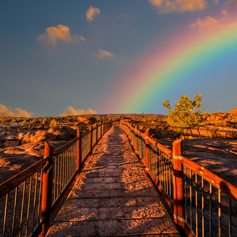 Living in Hope & Gratitude: Reflecting On A Pandemic Year