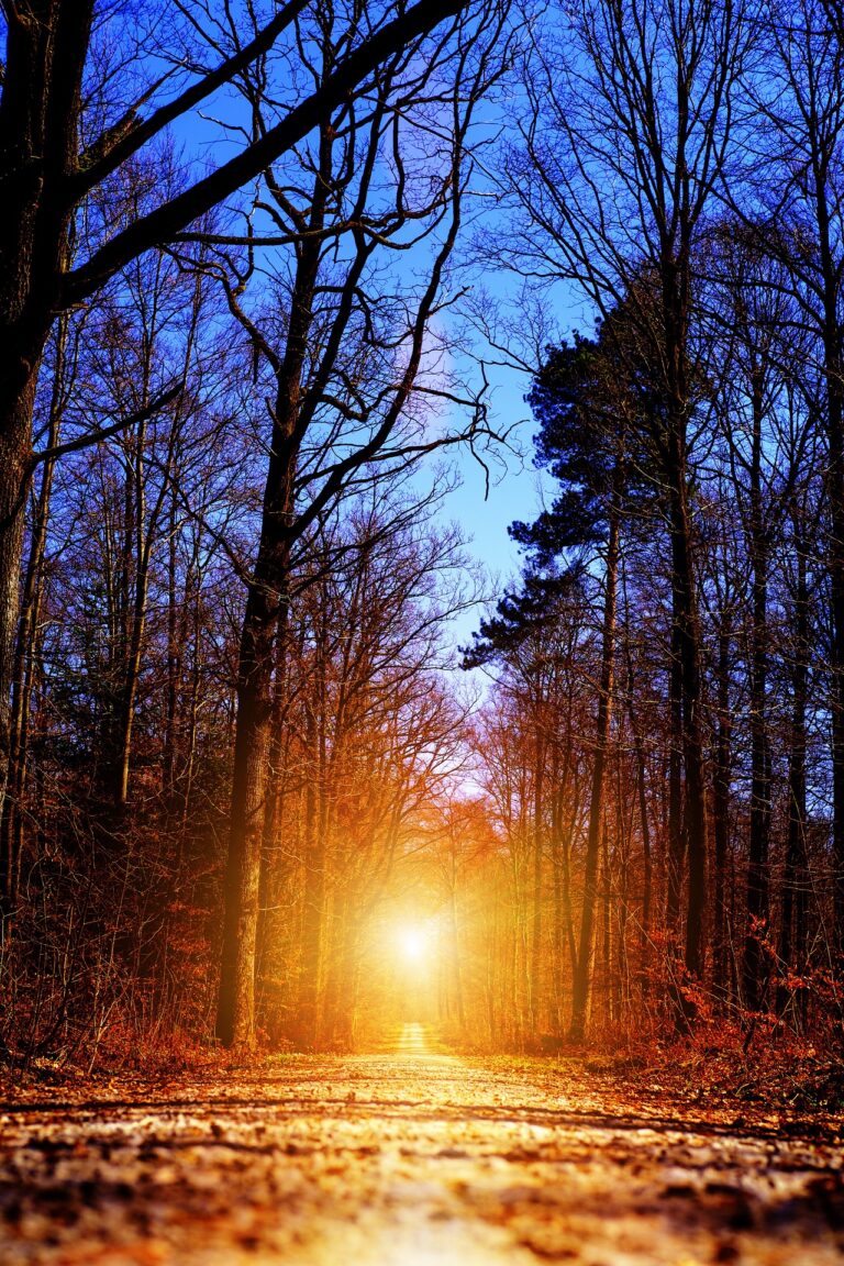 How to Become Successful in Life: 5 Things to Start Doing Now - Featured Image | Mrs Mummy PhD