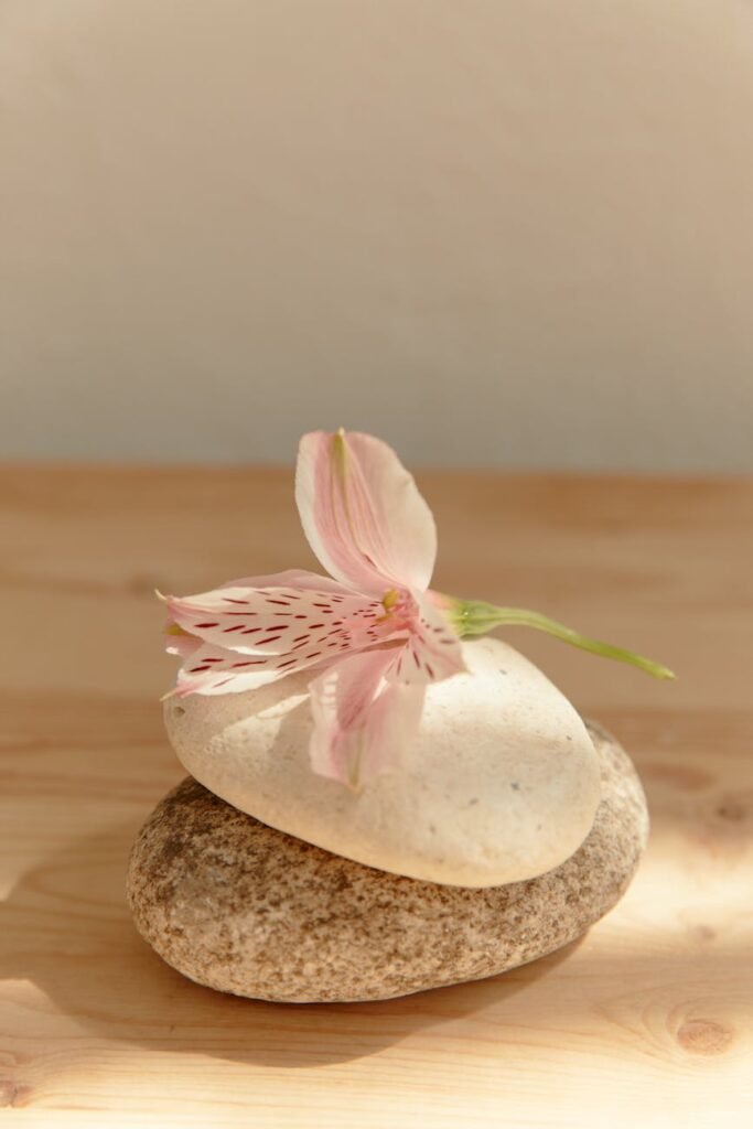 a lily flower over rocks