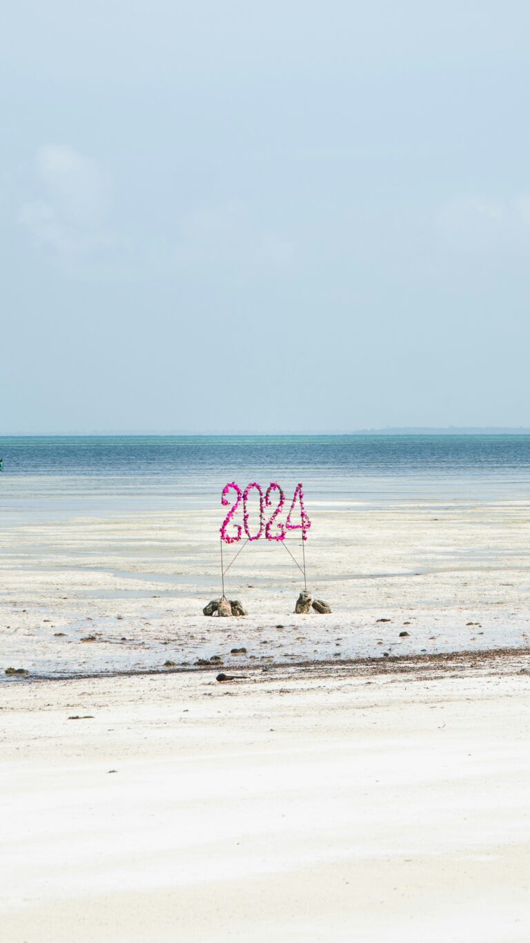 7 Surprising Things That Made My Year in 2024