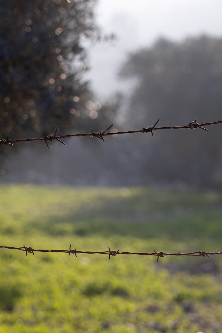 A barbed wire fence in a misty rural landscape with soft sunlight and blurred background.