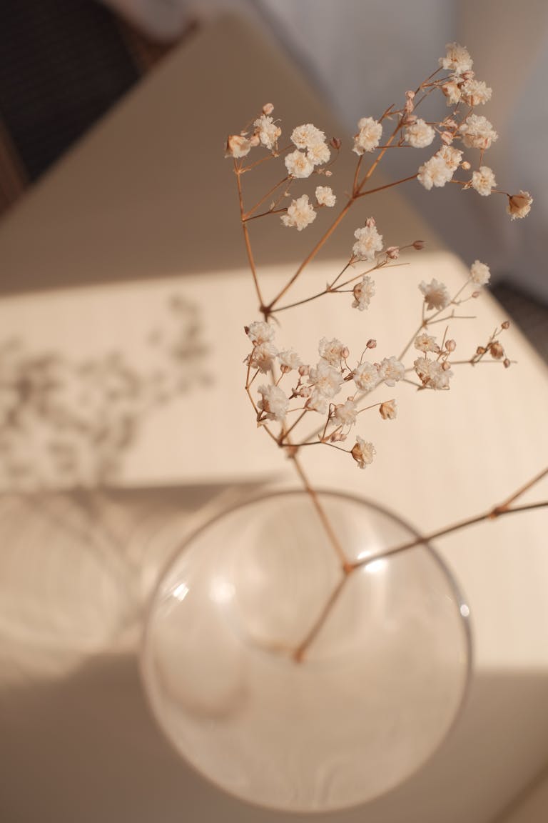 A delicate minimalist floral arrangement with baby's breath in a glass vase, beautifully lit by soft sunlight.